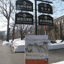 案内版もしっかり