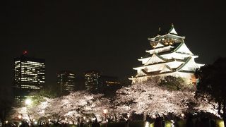 大阪城★夜桜ライトアップ！！