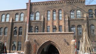 四月も企画目白押しの総合博物館