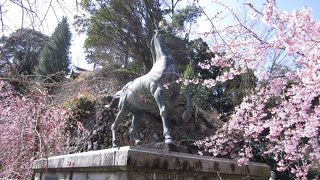 西国三十三カ所札所の最難関です