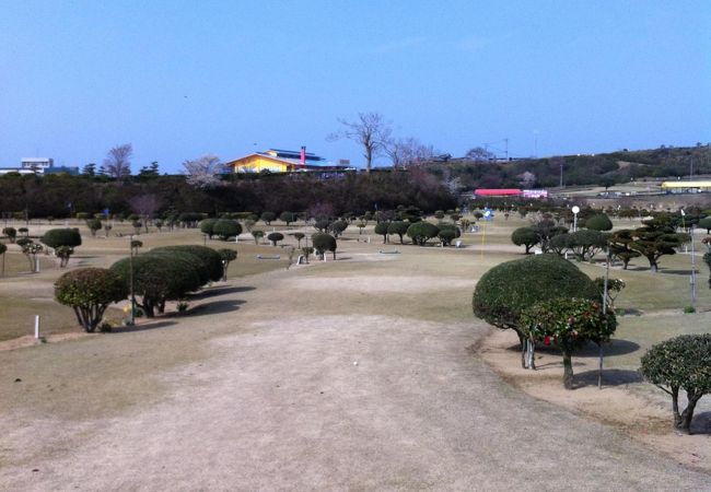 天然芝のパットゴルフ場。