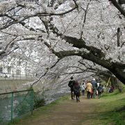 人だらけ・でも見事です