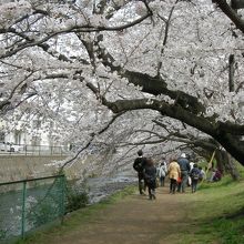 トンネルとはこのこと