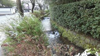 金沢市内を流れる辰巳用水