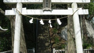 お正月が賑わいます