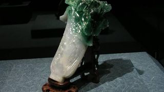 見たい物だけを見る