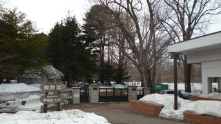 ５月４日は無料だよ