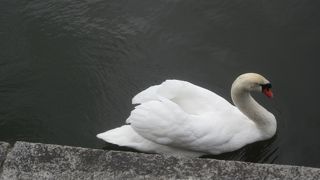 都会の雑踏を感じないスポットです