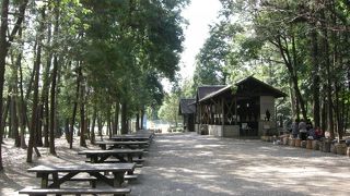 無料なのがお得！