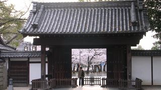 落ち着いた雰囲気の庭園