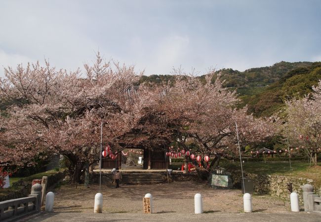 三つの国宝建造物