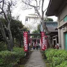 神社正面の参道