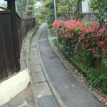 至る路地。探して！