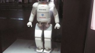 ゆっくり楽しむなら平日！