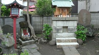 探して行こう！