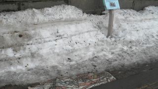 なぜこんな場所に？