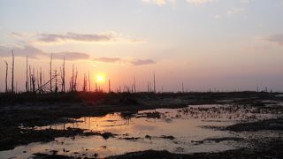 夕暮れは感傷的