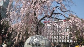 観光スポットが盛りだくさん