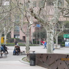 都会のオアシス