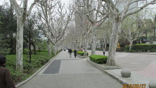 復興公園はクラブやバー、カラオケなどがあり、夜の公園は様変わりします。