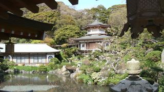 蓮池・庭園は京都風情彷彿・・拝観無料ありがたや
