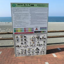 ジオパークの案内（石ころ図鑑）