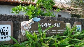 しらほの村のコミュニティー