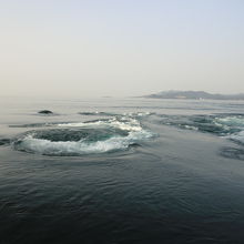 静かな海面が突然、ボコボコッ!