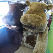 動物さんシート７