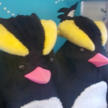 動物さんシート８