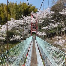 とっくり湖に架かってある橋の上から撮った写真です