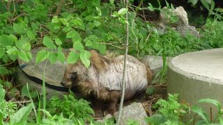 横浜の歴史を知る