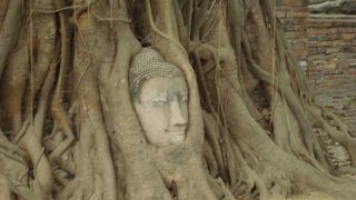 複雑な気持ちになる