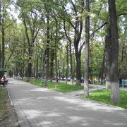 緑豊かな林のある遊歩道＠ビシュケク