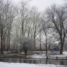 雪のセントラルパーク