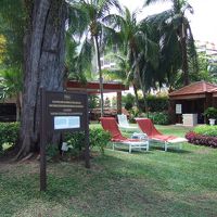 ビーチから見たホテルプールエリア