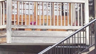 情緒を感じられるお蕎麦屋さんが「大島屋」～谷中～