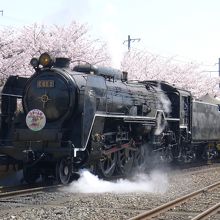 １日３回、SLスチーム号に試乗できます