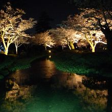 兼六園　花見橋からの曲水