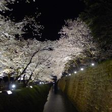 金沢城　堀に映る夜桜