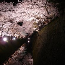金沢城　堀に映る夜桜
