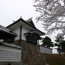 金沢城　石川門と桜
