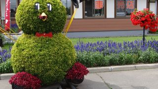 夏に行ったら売店のトウモロコシを食べて下さい