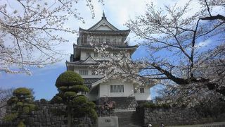 桜の名所・亥鼻公園に隣接した千葉の歴史博物館