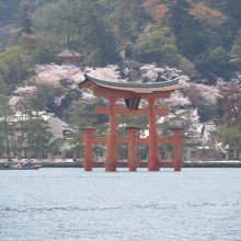 海側から見た鳥居と社殿です