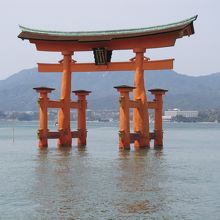 宮島からの鳥居です
