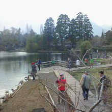 湖の周りは板張りの道があり、風情があります。