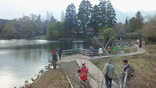 湯布院での温泉や買い物の後、静かに一息入れられる湖