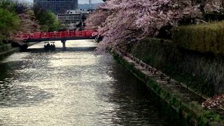 岡崎公園の疏水と十石舟