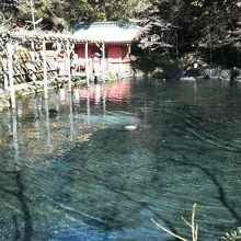 池に映るお堂がきれいな水面に映えます。